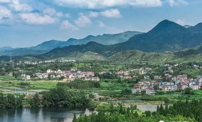 阳新县财政系统掀起学习《意见》热潮