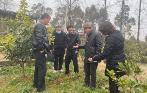 阳新科技局以制度建设推进工作规范化