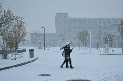 黄石今冬第一场雪降临