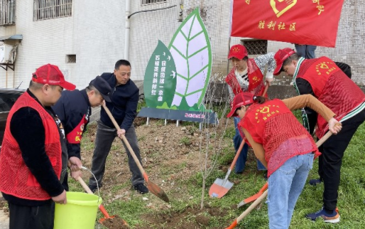 胜利社区：种下石榴树 开出“团结花”